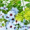 Factory Direct Craft Blue Artificial Daisy and Fern Bouquet | for Floral Arrangements and Home Decor | 14" H view 3
