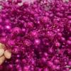 YYCRAFT Glitter Berries Stems, Artificial Berries Picks for Christmas Tree Ornaments, DIY Xmas Wreath, Crafts, Holiday and Home Decor(16 Pack, Hot Pink) view 2