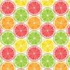 Sanbao Studio Underglaze Transfers, Ceramic Decals - Citrus Slices (19 x 13 inch) view 1