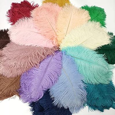 Jeniorr 10Pcs/Lot Colored Ostrich Feathers White Black Ostrich Feather Decor Table Centerpieces Vases Holiday Wedding Party Decoration - 40-45cm 16-18inch -DIY Crafts and Decoration Collection