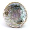 1/2 Ounce Natural No Dye North Carolina Abalone Inlay Powder Sand Painting view 3