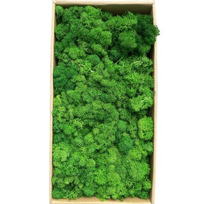 Preserved Moss 1.1 lb Artificial Moss for Potted Plants Natural Fresh Green Moss for Crafts Fake Moss Arts Orchid Moss Wall Decor Wedding Centerpieces Garden Terrariums Christmas Decoration-MidGreen