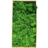 Preserved Moss 1.1 lb Artificial Moss for Potted Plants Natural Fresh Green Moss for Crafts Fake Moss Arts Orchid Moss Wall Decor Wedding Centerpieces Garden Terrariums Christmas Decoration-MidGreen view 1
