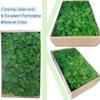 Preserved Moss 1.1 lb Artificial Moss for Potted Plants Natural Fresh Green Moss for Crafts Fake Moss Arts Orchid Moss Wall Decor Wedding Centerpieces Garden Terrariums Christmas Decoration-MidGreen view 2