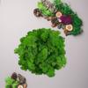 Preserved Moss 1.1 lb Artificial Moss for Potted Plants Natural Fresh Green Moss for Crafts Fake Moss Arts Orchid Moss Wall Decor Wedding Centerpieces Garden Terrariums Christmas Decoration-MidGreen view 3