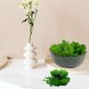 Preserved Moss 1.1 lb Artificial Moss for Potted Plants Natural Fresh Green Moss for Crafts Fake Moss Arts Orchid Moss Wall Decor Wedding Centerpieces Garden Terrariums Christmas Decoration-MidGreen view 4
