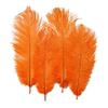 Zamihalaa - 50Pcs Orange Ostrich Feathers for Crafts 15-70cm Feathers Ostrich Plumes Feathers for Jewelry Making Wedding Feathers Decoration view 4