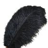 Zamihalaa - 50Pcs Black Ostrich Feathers for Crafts 15-70cm Feathers Ostrich Plumes Feather for Jewelry Making Wedding Feathers Decoration view 1