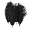 Zamihalaa - 50Pcs Black Ostrich Feathers for Crafts 15-70cm Feathers Ostrich Plumes Feather for Jewelry Making Wedding Feathers Decoration view 3