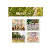 Dreamus MONTHLY GIRL LOONA - Summer Special Mini Album [Flip That] (C ver.) 158 x 218 x 14 mm VDCD6909 0 view 1