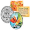 Bird of Paradise Flower Colorized JFK Kennedy Half Dollar U.S. Coin view 1