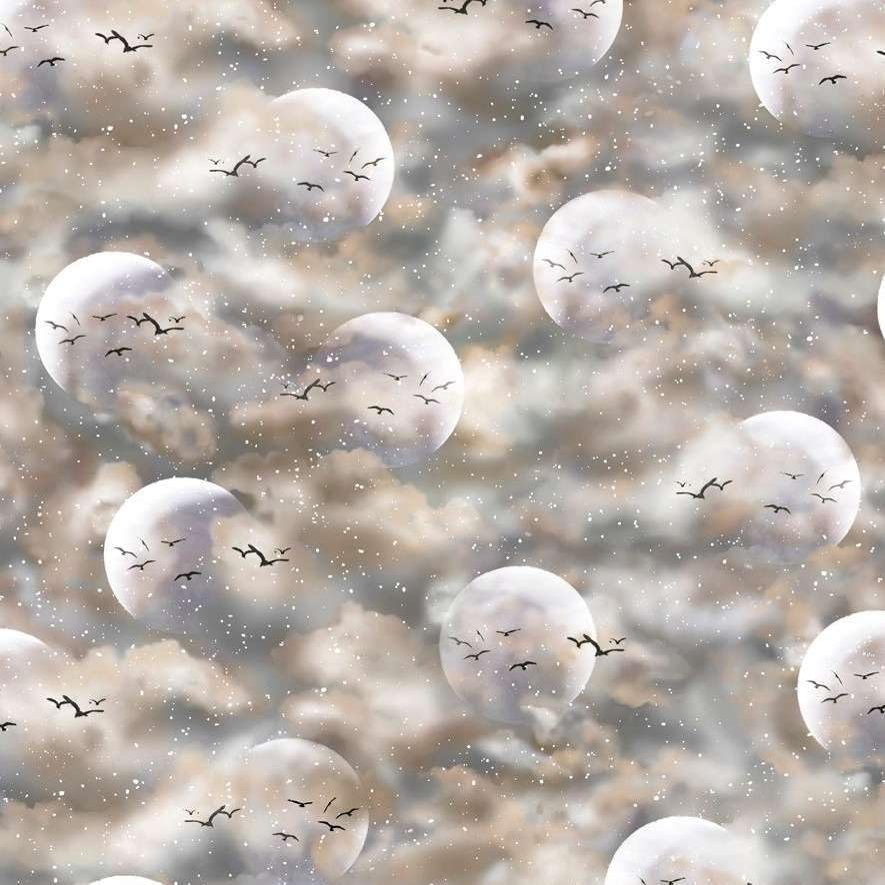 QT Fabrics Arctic Dreams 28832 E Ecru Clouds