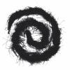 Zamihalaa - 2Meters Fluffy Ostrich Feather Boa Trim White Black Ostrich Feathers for Clothes Needlework Dress Crafts Plumes Party Decoration view 3