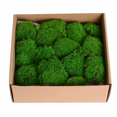1.5 Sq. Ft. Preserved Moss Pole Decorative Moss for Crafts, Art, Wall Decor,Dark Green