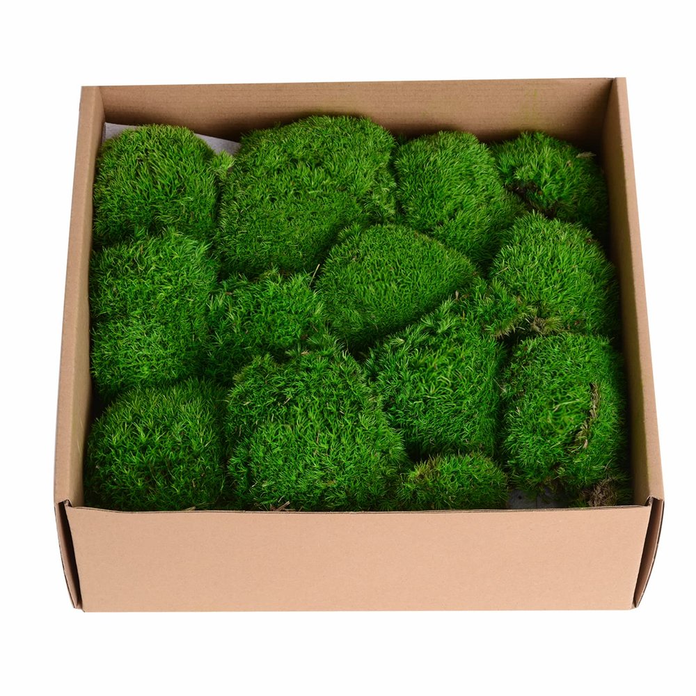 1.5 Sq. Ft. Preserved Moss Pole Decorative Moss for Crafts, Art, Wall Decor,Dark Green