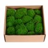 1.5 Sq. Ft. Preserved Moss Pole Decorative Moss for Crafts, Art, Wall Decor,Dark Green view 1