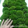 1.5 Sq. Ft. Preserved Moss Pole Decorative Moss for Crafts, Art, Wall Decor,Dark Green view 3