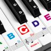 Piano Keyboard Stickers for Beginners Removable Piano Stickers for Keys 88/61/54/49/37, Colorful Larger Letter Key Note for Learning, Upgraded with Solfege view 1