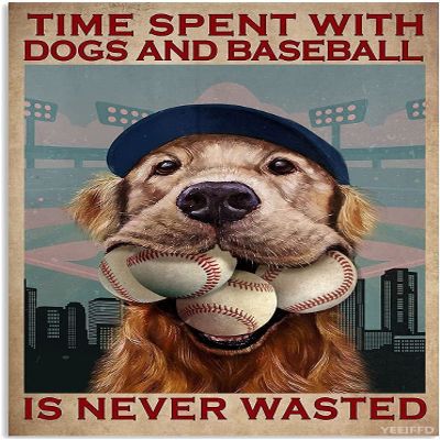 YEEIFFD DIY 5D Diamond Art Painting Kits Dogs and Baseball for Home Decoration and Room Wall Decor 12 x 16 inch
