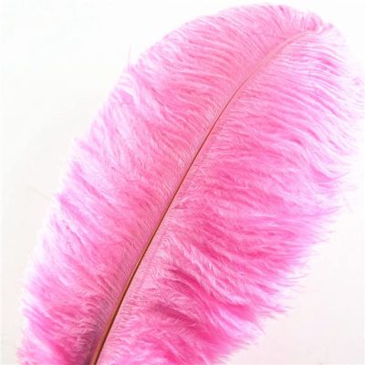 Zamihalaa - 50Pcs/Lot Pink Ostrich Feathers for Crafts 15-70cm Feathers Ostrich Plumes for Jewelry Making Wedding Feathers Decoration Plumas