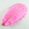 Zamihalaa - 50Pcs/Lot Pink Ostrich Feathers for Crafts 15-70cm Feathers Ostrich Plumes for Jewelry Making Wedding Feathers Decoration Plumas view 3