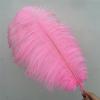 Zamihalaa - 50Pcs/Lot Pink Ostrich Feathers for Crafts 15-70cm Feathers Ostrich Plumes for Jewelry Making Wedding Feathers Decoration Plumas view 4