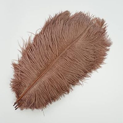 Zamihalaa - 10Pcs/Lot Colored Ostrich Feathers White Black Ostrich Feather Decor Table Centerpieces Vases Holiday Wedding Party Decoration - 40-45cm 16-18inch
