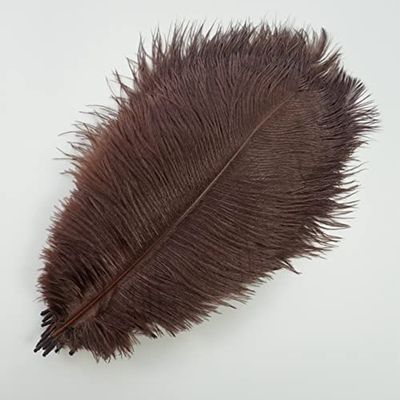 Zamihalaa - 10Pcs/Lot Colored Ostrich Feathers White Black Ostrich Feather Decor Table Centerpieces Vases Holiday Wedding Party Decoration - 50-55cm 20-22inch