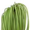 homeemoh 2.5mm Round PE Rattan 10m Synthetic Rattan Weaving Material Plastic Rattan for Knit Repair Basket Making DIY Art & Craft,Green view 1