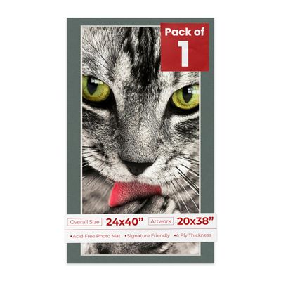 Poster Palooza 24x40 Mat Bevel Cut for 20x38 Photos - Acid Free Charcoal Grey Precut Matboard - For Pictures, Photos, Framing - 4-ply Thickness