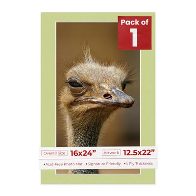Poster Palooza 16x24 Mat Bevel Cut for 12.5x22 Photos - Acid Free Pistachio Green Precut Matboard - For Pictures, Photos, Framing - 4-ply Thickness