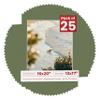 Poster Palooza Pack of 25 Acid Free 16x20 Mats Bevel Cut for 13x17 Photos - Dill Green Precut Matboards With Backing Boards and Clear Photo Mat Bags For Pictures, Photos, Framing - 4-ply Thickness view 1