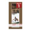Pack of 25 Acid Free 20x40 Mats Bevel Cut for 12x36 Photos - Metallic Silver Precut Matboards With Backing Boards and Clear Photo Mat Bags For Pictures, Photos, Framing - 4-ply Thickness view 1