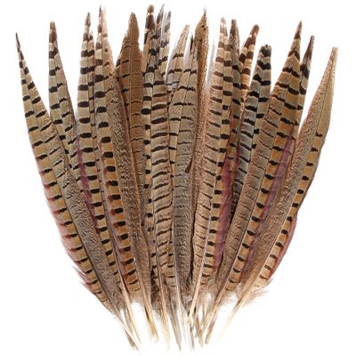 20pcs Male Pheasant Feather Natural Ringneck Tails Feathers 8-10inch 20-25cm for Crafts Home Wedding Party Performance DIY Decoration Pheasant Feather,Male Pheasant Feathers