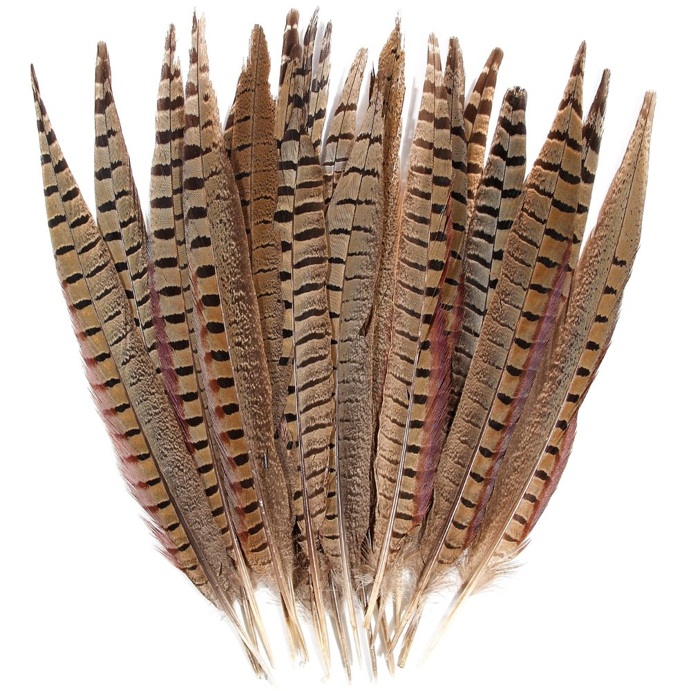 20pcs Male Pheasant Feather Natural Ringneck Tails Feathers 8-10inch 20-25cm for Crafts Home Wedding Party Performance DIY Decoration Pheasant Feather,Male Pheasant Feathers