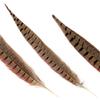 20pcs Male Pheasant Feather Natural Ringneck Tails Feathers 8-10inch 20-25cm for Crafts Home Wedding Party Performance DIY Decoration Pheasant Feather,Male Pheasant Feathers view 2