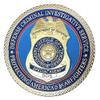 U.S. Department of Defense | Defense Criminal Investigative Service DCIS | Office of Inspector General | Special Agent | Protecting America's Warfighters | Gold Plated Challenge Coin view 1