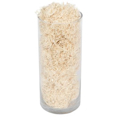 Vickerman Natural Botanicals Curly Moss, Bleached. Includes 2.2 Lbs per Pack