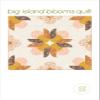 Whole Circle Studio Big Island Blooms Quilt Pattern, None view 1