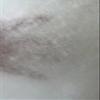 Galaxy Supply Inc. Upholstery Grade Bonded Dacron Polyester Batting, 1/2'' x30''x 1 Yard. Please Note: 1/2'' Thickness Before The Vacuum Handing, White, P8S-1YD view 2