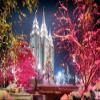 Diamond Painting Kits for Adults Kids Salt Lake Temple Scenery DIY 5D Diamond Painting Arts Craft for Home Wall Decor Birthday Gifts 12x16 in view 1