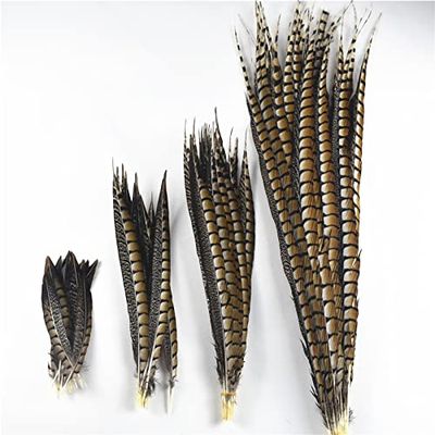 Zamihalaa - 10Pcs/Lot Natural Lady Pheasant Feathers for Crafts 10-120CM 4-48" Long Carnival Accessories Feather Decoration Plume