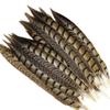 Zamihalaa - 10Pcs/Lot Natural Lady Pheasant Feathers for Crafts 10-120CM 4-48" Long Carnival Accessories Feather Decoration Plume view 3