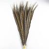 Zamihalaa - 10Pcs/Lot Natural Lady Pheasant Feathers for Crafts 10-120CM 4-48" Long Carnival Accessories Feather Decoration Plume view 4