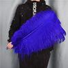 50Pcs Royal Blue Ostrich Feathers for Crafts DIY Big Feather Fan Accessories Centerpieces for Wedding Tables Carnival Decoration view 1
