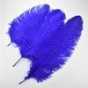 50Pcs Royal Blue Ostrich Feathers for Crafts DIY Big Feather Fan Accessories Centerpieces for Wedding Tables Carnival Decoration view 3