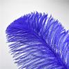 50Pcs Royal Blue Ostrich Feathers for Crafts DIY Big Feather Fan Accessories Centerpieces for Wedding Tables Carnival Decoration view 4