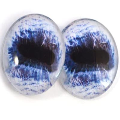 Horse Eyes Collection Bundle Set of 10 Eyes - Bulk Wholesale Lot - Taxidermy Art Sculptures or Jewelry Making Supply for Pendant Making Wire Wrapped Jewelry Faux Craft Taxidermy or Sculptures (8mm)