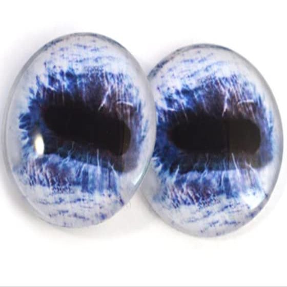 Horse Eyes Collection Bundle Set of 10 Eyes - Bulk Wholesale Lot - Taxidermy Art Sculptures or Jewelry Making Supply for Pendant Making Wire Wrapped Jewelry Faux Craft Taxidermy or Sculptures (8mm)
