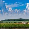 Just Corn III Model Railroad Backdrop (HO Scale) view 4
